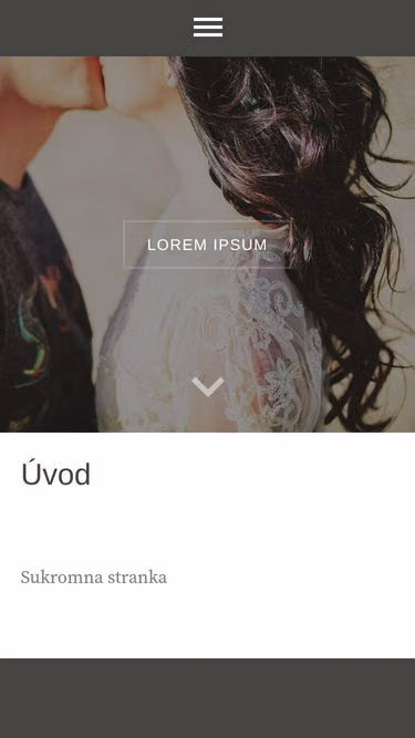 Screenshot of protectus.sk