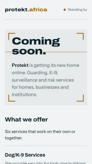 Screenshot of protekt.africa