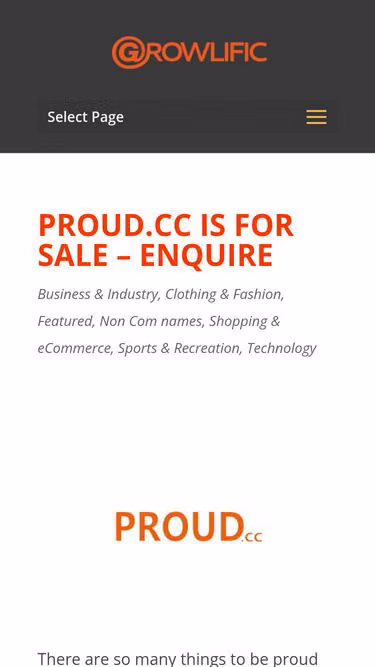 Screenshot of proud.cc
