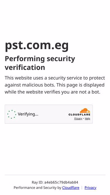Screenshot of pst.com.eg