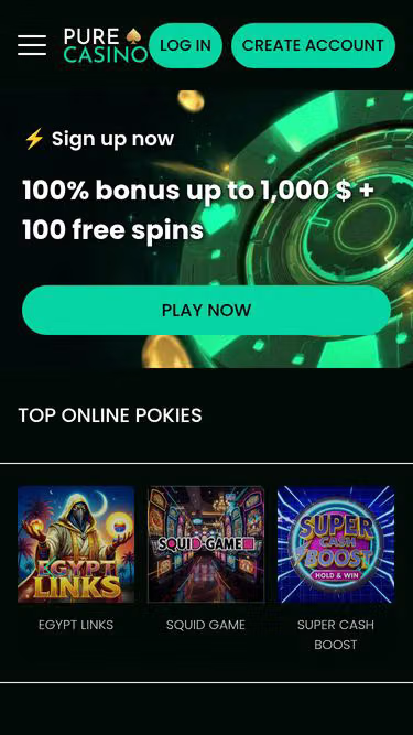 Screenshot of purecasino.online