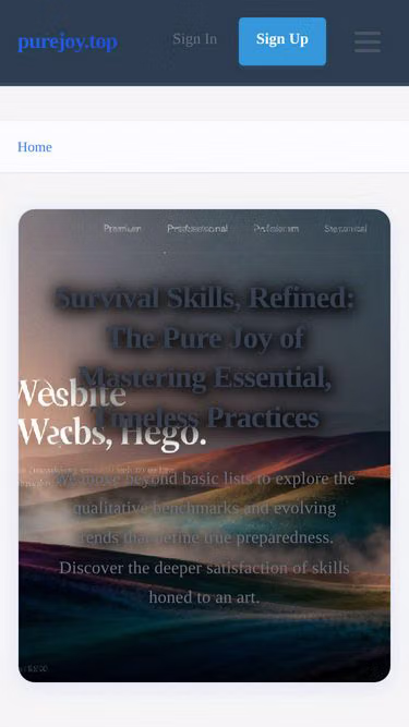 Screenshot of purejoy.top