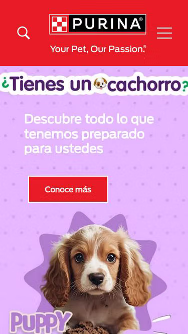 Screenshot of purina.com.mx