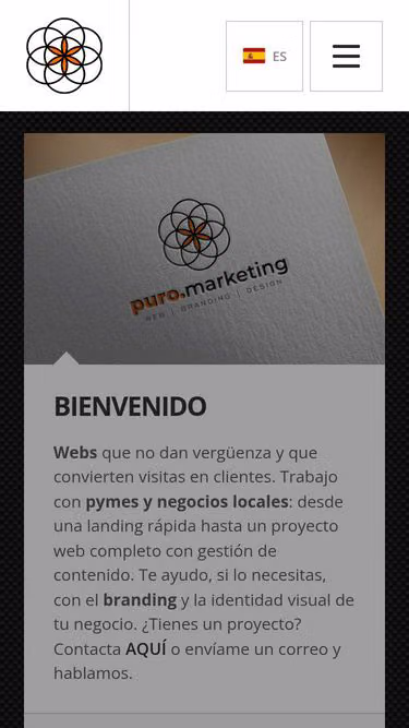 Screenshot of puro.marketing