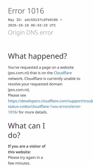 Screenshot of pvs.com.ni