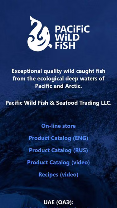Screenshot of pwf.ae