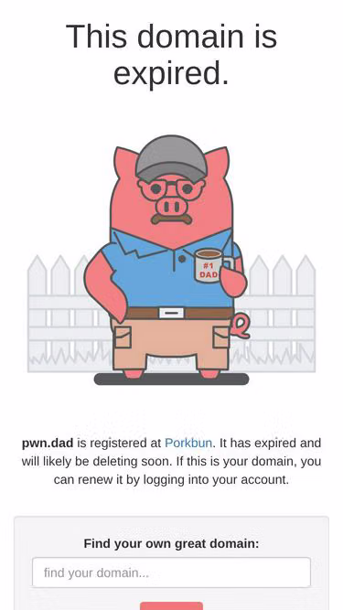 Screenshot of pwn.dad