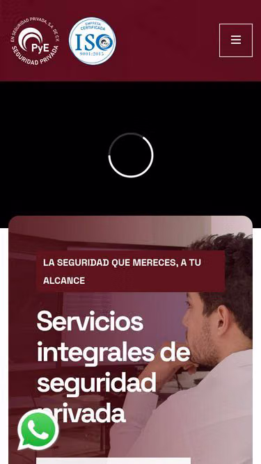 Screenshot of pye.com.mx