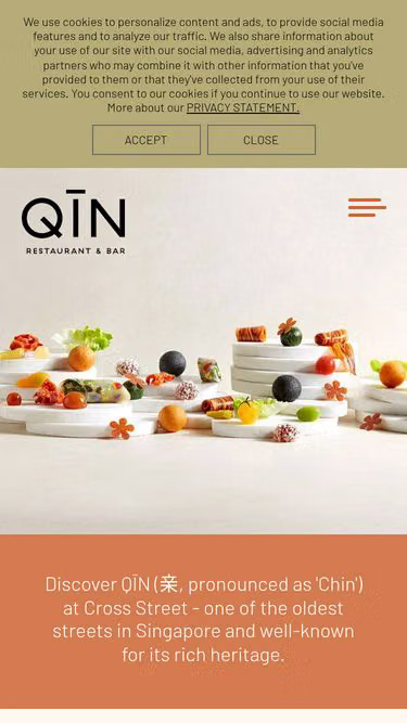 Screenshot of qin.com.sg