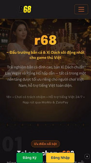 Screenshot of r68.cam