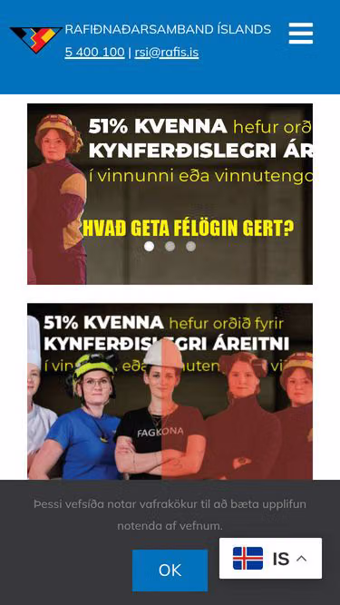 Screenshot of rafis.is