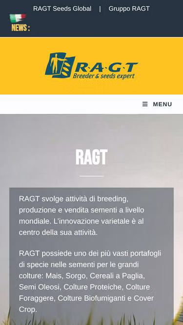 Screenshot of ragt.it
