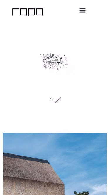 Screenshot of rapa.hu