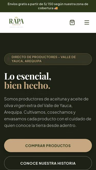 Screenshot of rapa.pe