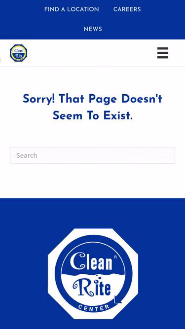 Screenshot of rapidclean.nyc
