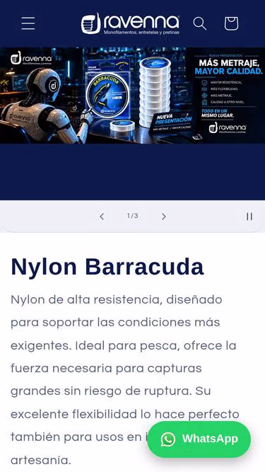 Screenshot of ravenna.com.co