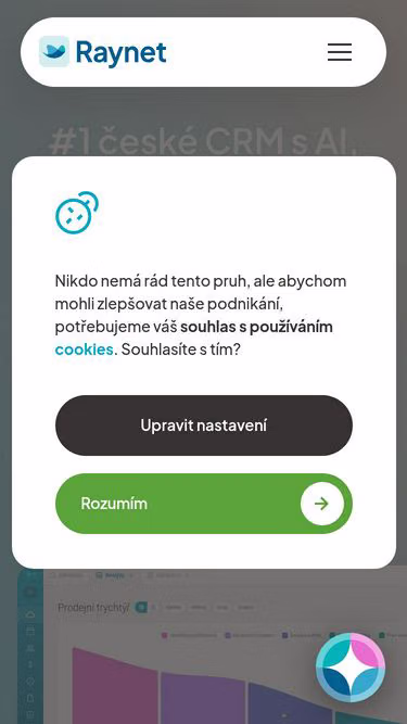 Screenshot of raynet.eu