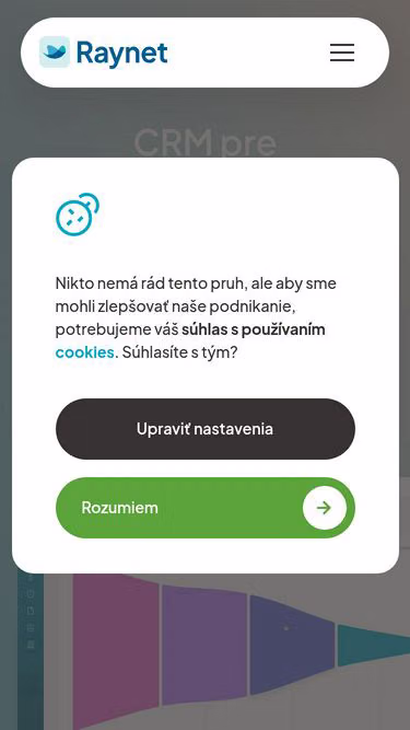 Screenshot of raynet.sk