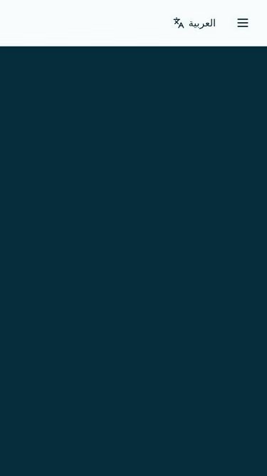 Screenshot of raytech.ma