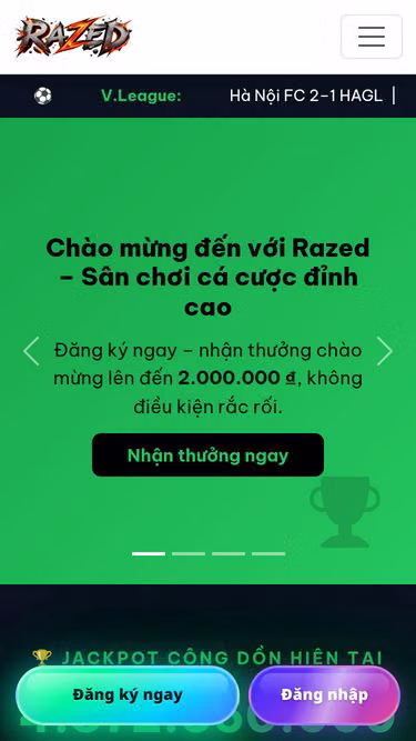 Screenshot of razed.bio