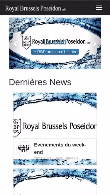 Screenshot of rbp.be