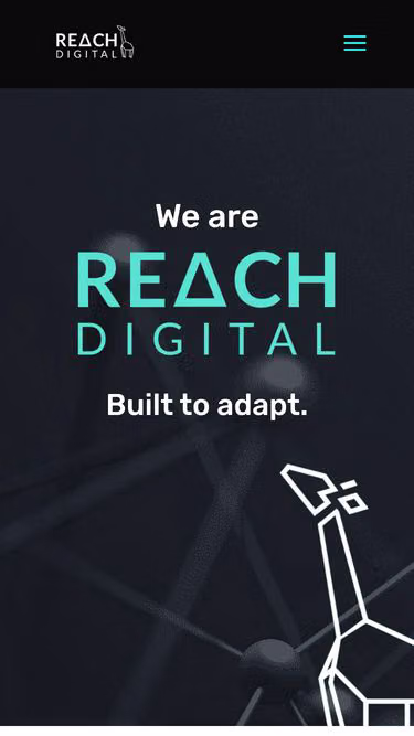 Screenshot of reachdigital.co.za