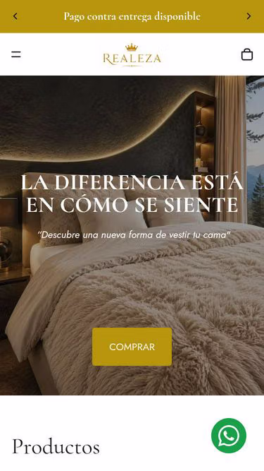 Screenshot of realeza.co