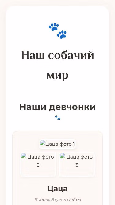 Screenshot of rebb.ru