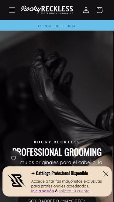 Screenshot of reckless.mx