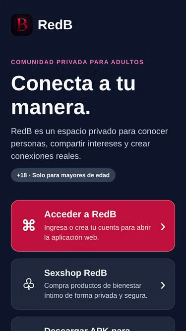 Screenshot of redb.cl