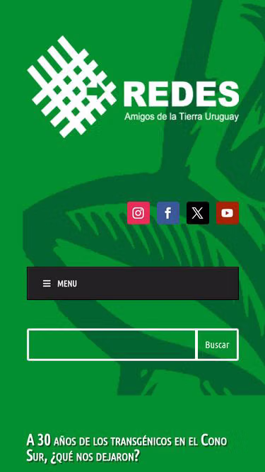 Screenshot of redes.uy