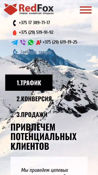 Screenshot of redfox.by