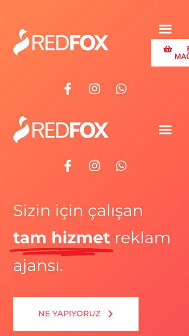 Screenshot of redfox.com.tr
