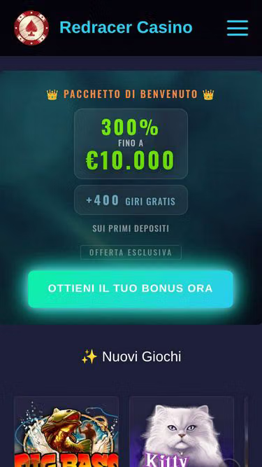 Screenshot of redracer.eu