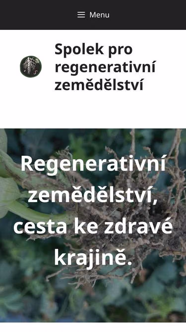 Screenshot of regenerative.cz