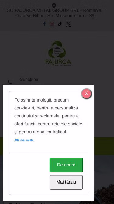 Screenshot of remat.ro
