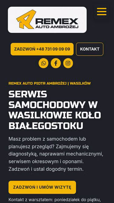 Screenshot of remex.auto.pl