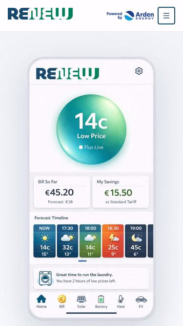 Screenshot of renewenergy.ie