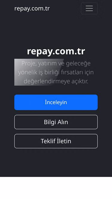 Screenshot of repay.com.tr