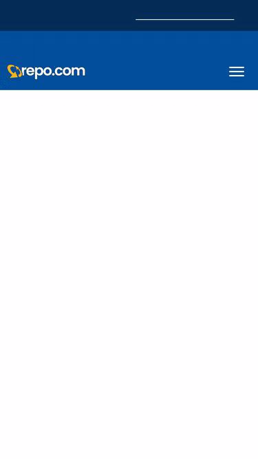 Screenshot of repo.biz