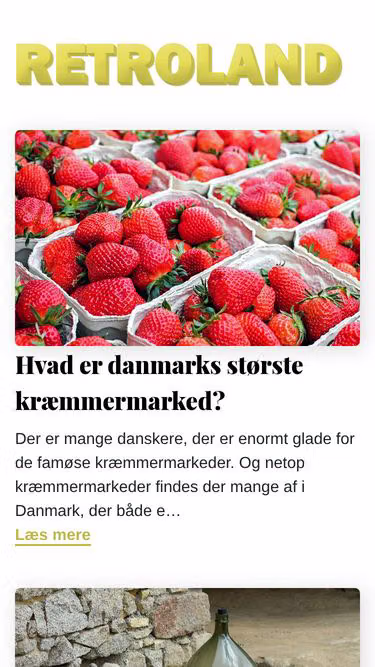 Screenshot of retroland.dk