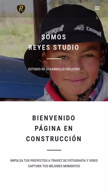 Screenshot of reyes.com.co