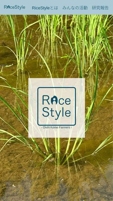 Screenshot of rice.style