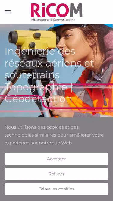 Screenshot of ricom.fr