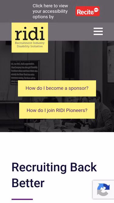Screenshot of ridi.org.uk