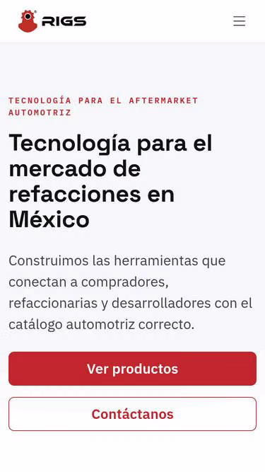 Screenshot of rigs.com.mx