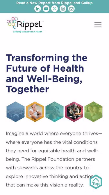 Screenshot of rippel.health