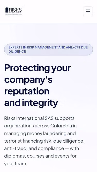Screenshot of risks.international