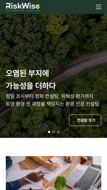 Screenshot of riskwise.co.kr