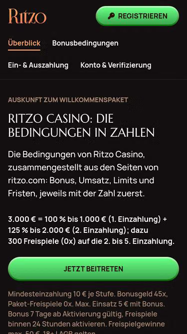 Screenshot of ritzo.info